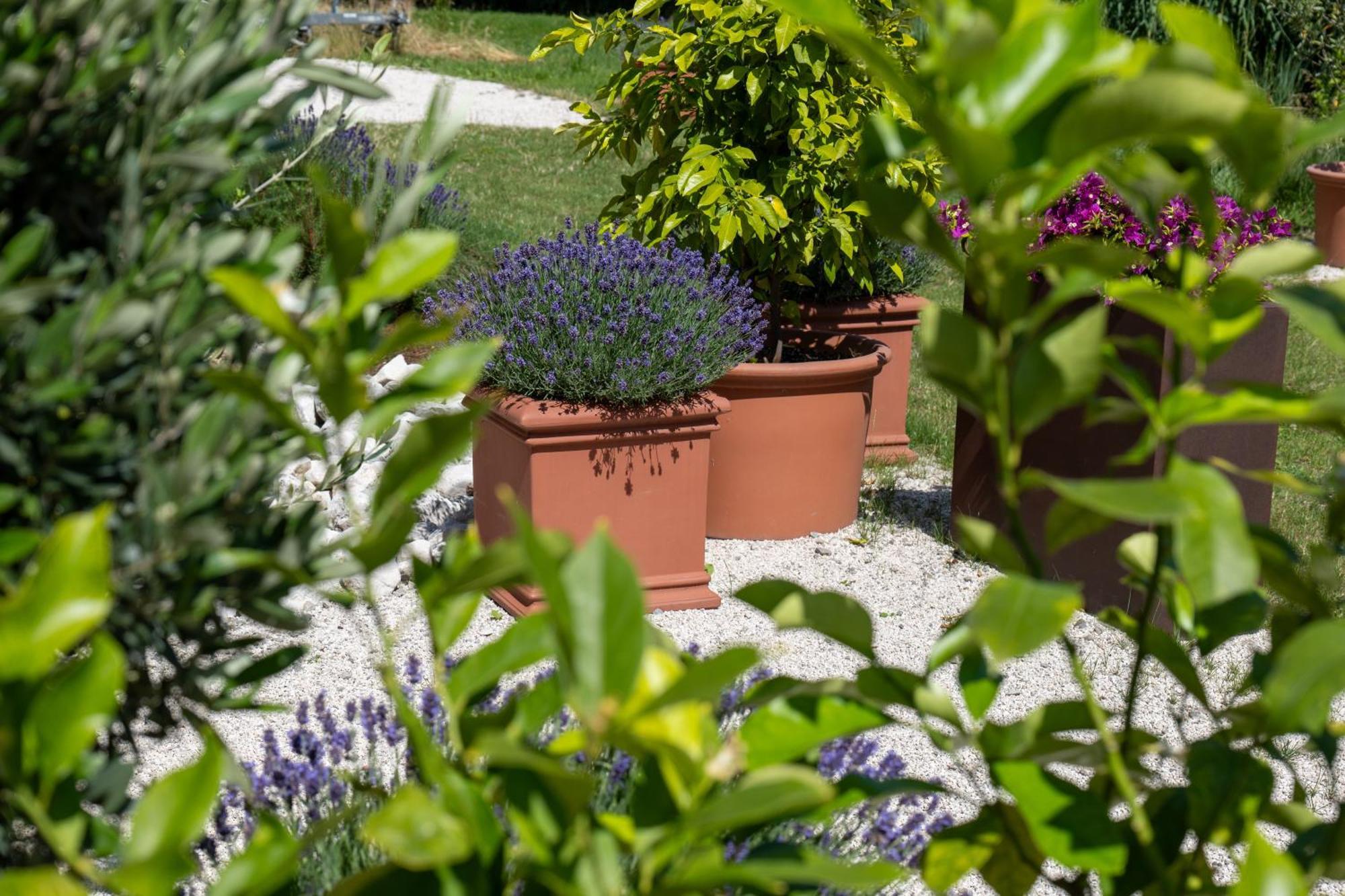 Seehotel Restaurant Lackner Mondsee Luaran gambar